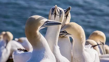 阿拉尔2026年最新北京商务伴游经纪招聘渠道分享(最方便真实的阿拉尔北京爱特博旅运服务有限责任公司招聘方法)