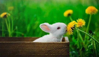 阿拉尔2026年最新杭州高端商务伴游招聘网渠道分享(最方便真实的阿拉尔茉莉伴游伴游天下全国联盟方法)